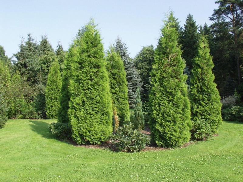 Ferienpark Leitzingen Soltau Esterno foto